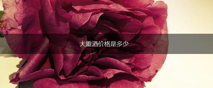 大重酒价格是多少,第1张