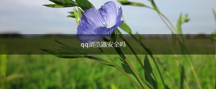 qq浏览器安全吗,第1张