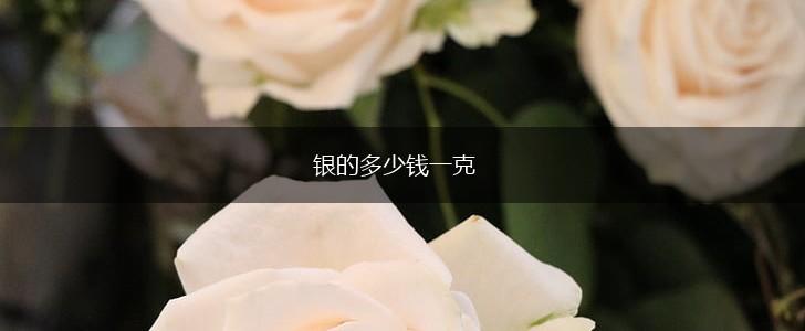 银的多少钱一克,第1张