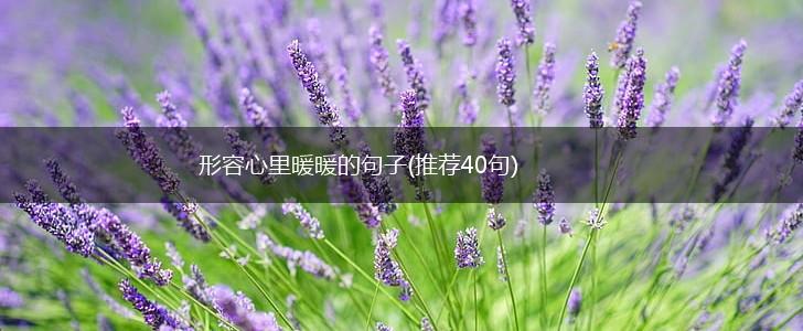 形容心里暖暖的句子(推荐40句),第1张