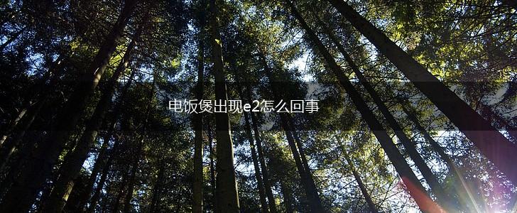 电饭煲出现e2怎么回事,第1张
