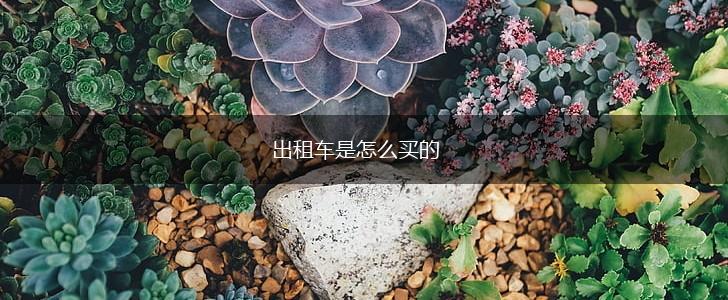 出租车是怎么买的,第1张