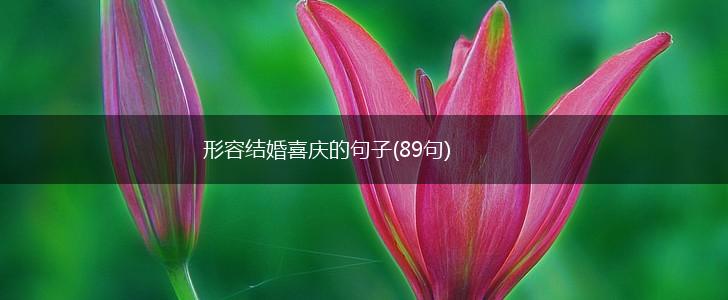 形容结婚喜庆的句子(89句),第1张