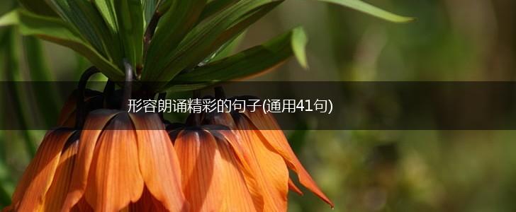 形容朗诵精彩的句子(通用41句),第1张