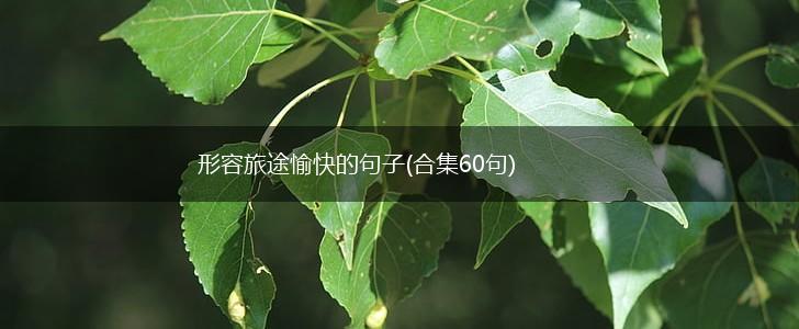 形容旅途愉快的句子(合集60句),第1张