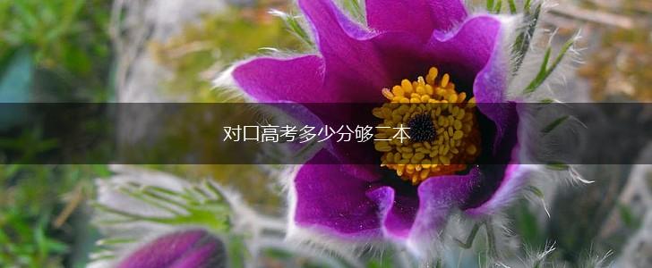 对口高考多少分够二本,第1张 对口高考多少分够二本,第1张