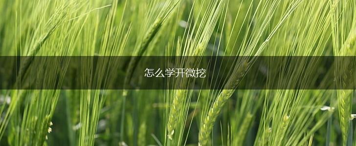 怎么学开微挖,第1张