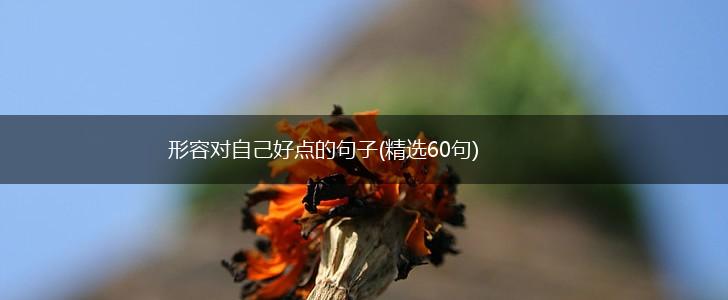 形容对自己好点的句子(精选60句),第1张