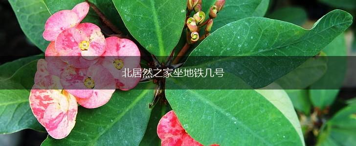 北居然之家坐地铁几号,第1张