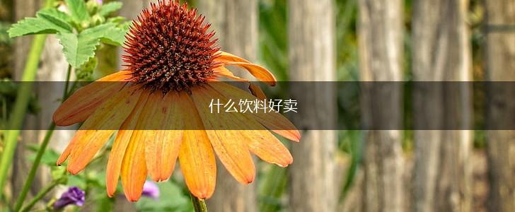 什么饮料好卖,第1张