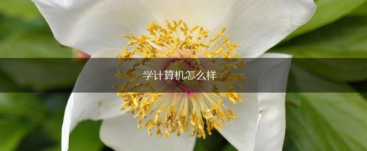 学计算机怎么样,第1张
