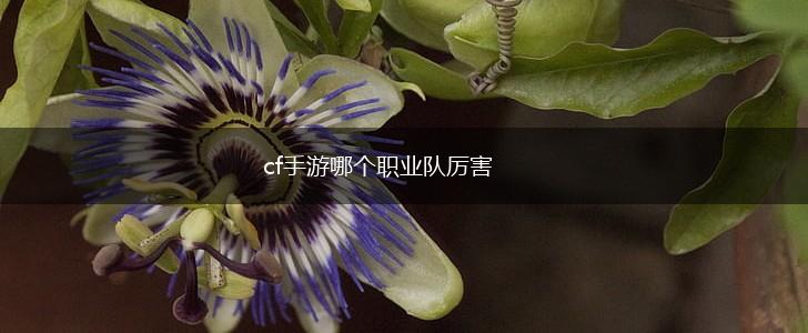 cf手游哪个职业队厉害,第1张