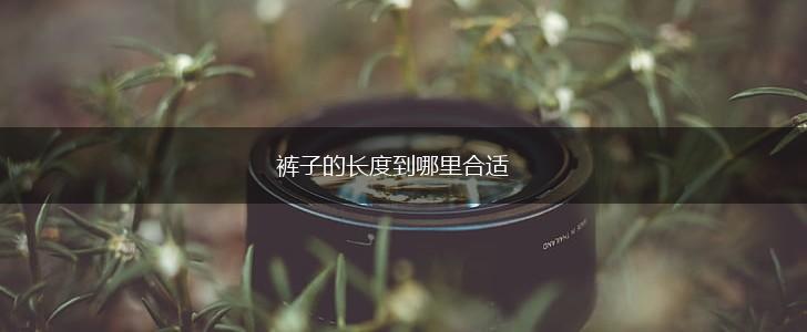 裤子的长度到哪里合适,第1张