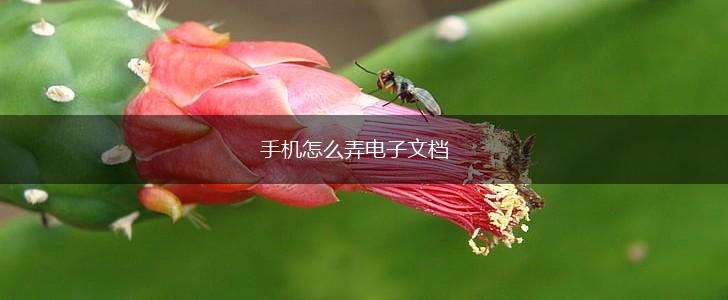 手机怎么弄电子文档,第1张