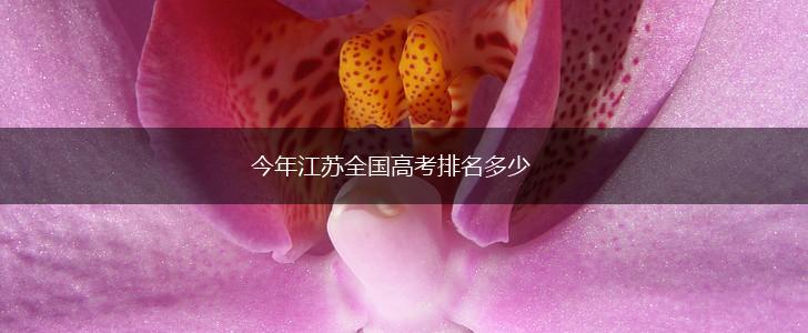 今年江苏全国高考排名多少,第1张