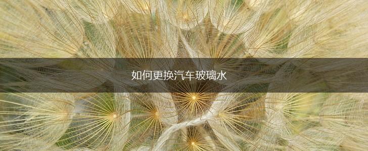 如何更换汽车玻璃水,第1张