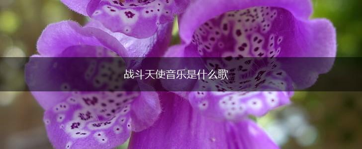 战斗天使音乐是什么歌,第1张