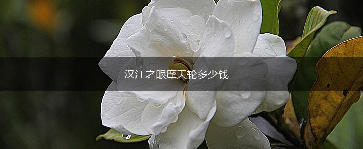 汉江之眼摩天轮多少钱,第1张