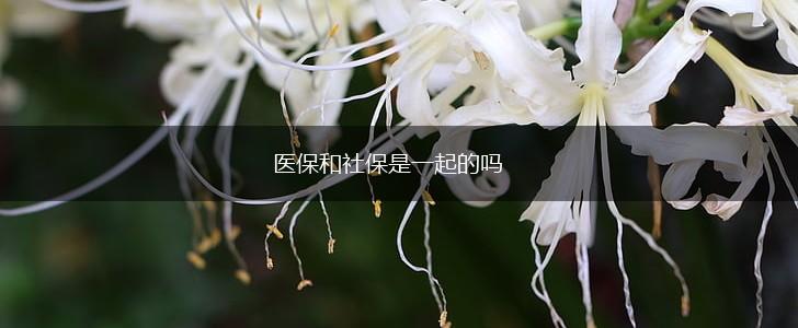 医保和社保是一起的吗,第1张