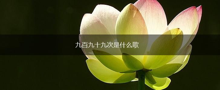 九百九十九次是什么歌,第1张