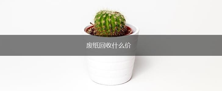 废纸回收什么价,第1张