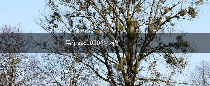 吊车ssc1020多少钱,第1张