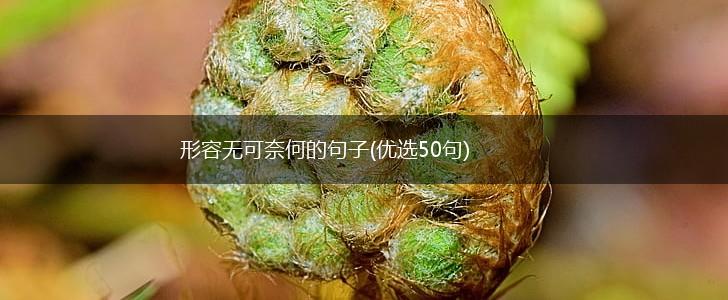 形容无可奈何的句子(优选50句),第1张