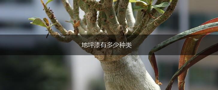 地坪漆有多少种类,第1张