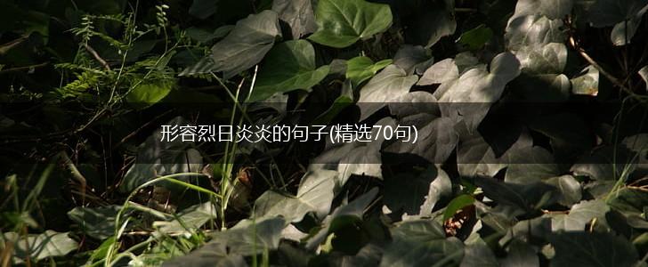 形容烈日炎炎的句子(精选70句),第1张