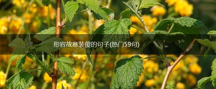 形容故意装傻的句子(热门59句),第1张