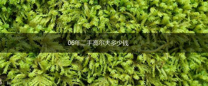 06年二手高尔夫多少钱,第1张