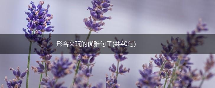 形容文玩的优雅句子(共40句),第1张