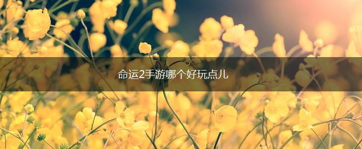 命运2手游哪个好玩点儿,第1张