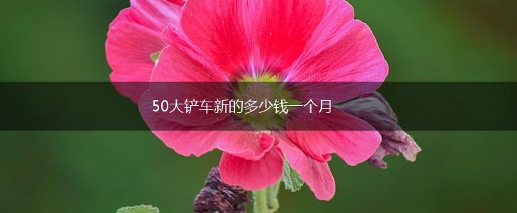 50大铲车新的多少钱一个月,第1张