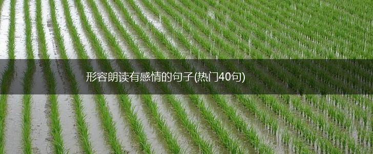 形容朗读有感情的句子(热门40句),第1张