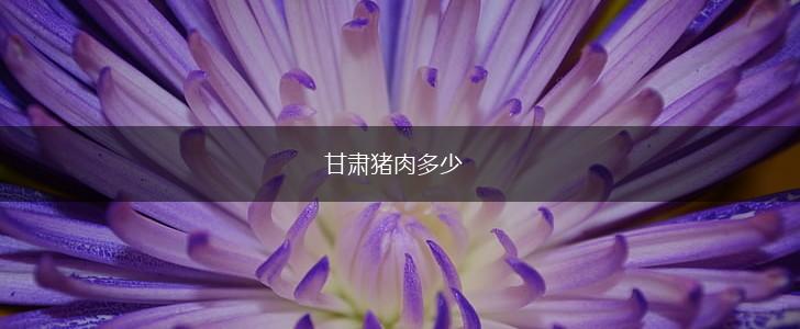 甘肃猪肉多少,第1张