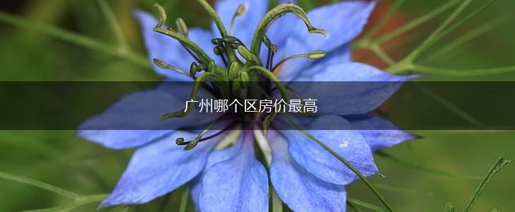 广州哪个区房价最高,第1张