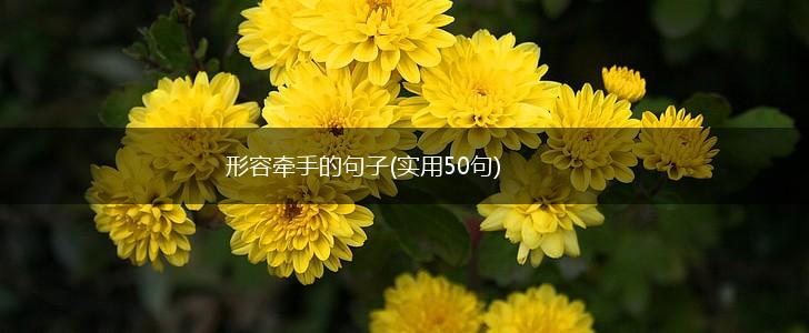 形容牵手的句子(实用50句),第1张