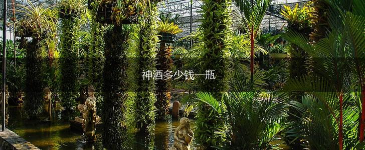 神酒多少钱一瓶,第1张