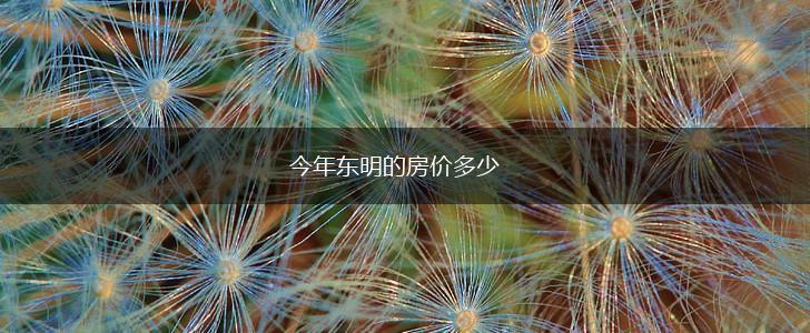 今年东明的房价多少,第1张