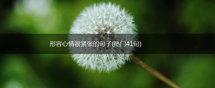 形容心情很紧张的句子(热门41句),第1张