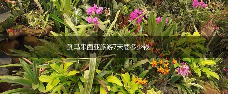 到马来西亚旅游7天要多少钱,第1张
