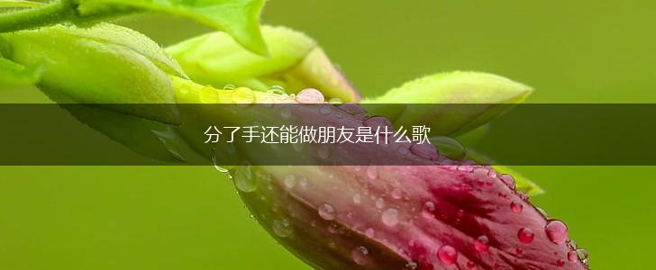 分了手还能做朋友是什么歌,第1张
