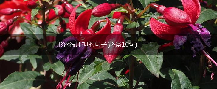形容很压抑的句子(必备10句),第1张