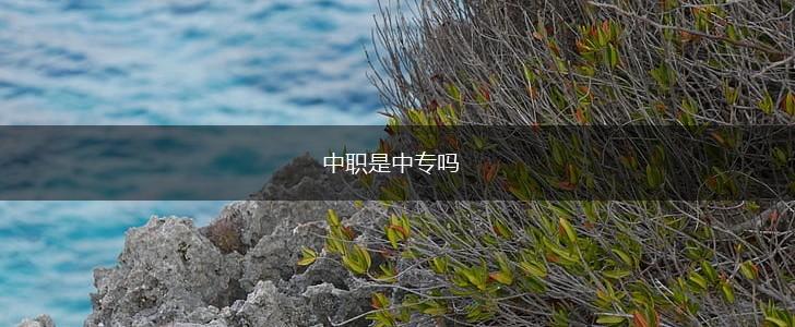 中职是中专吗,第1张