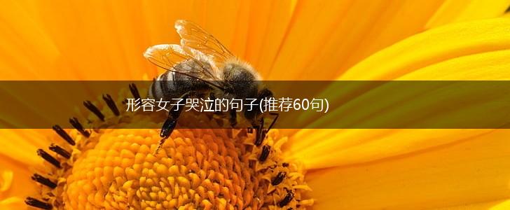 形容女子哭泣的句子(推荐60句),第1张