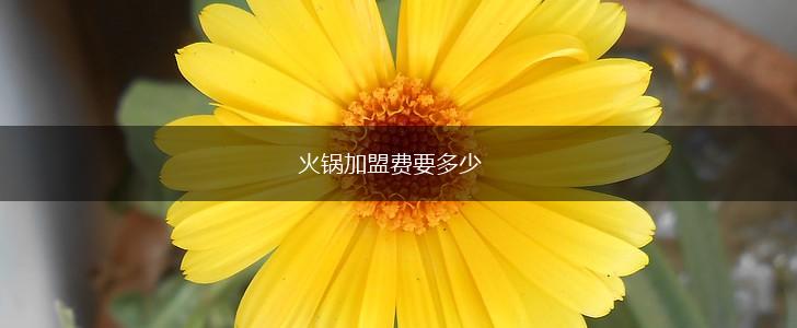火锅加盟费要多少,第1张