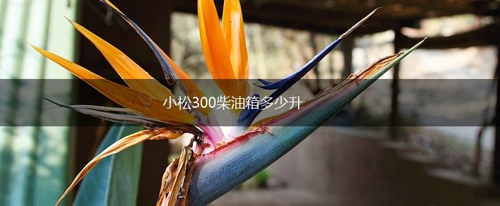 小松300柴油箱多少升,第1张