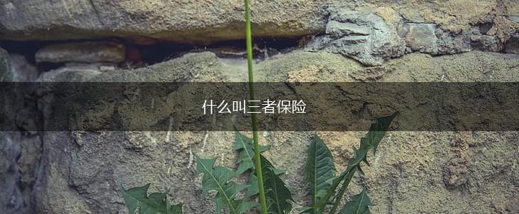 什么叫三者保险,第1张