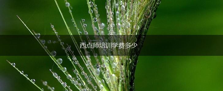 西点师培训学费多少,第1张